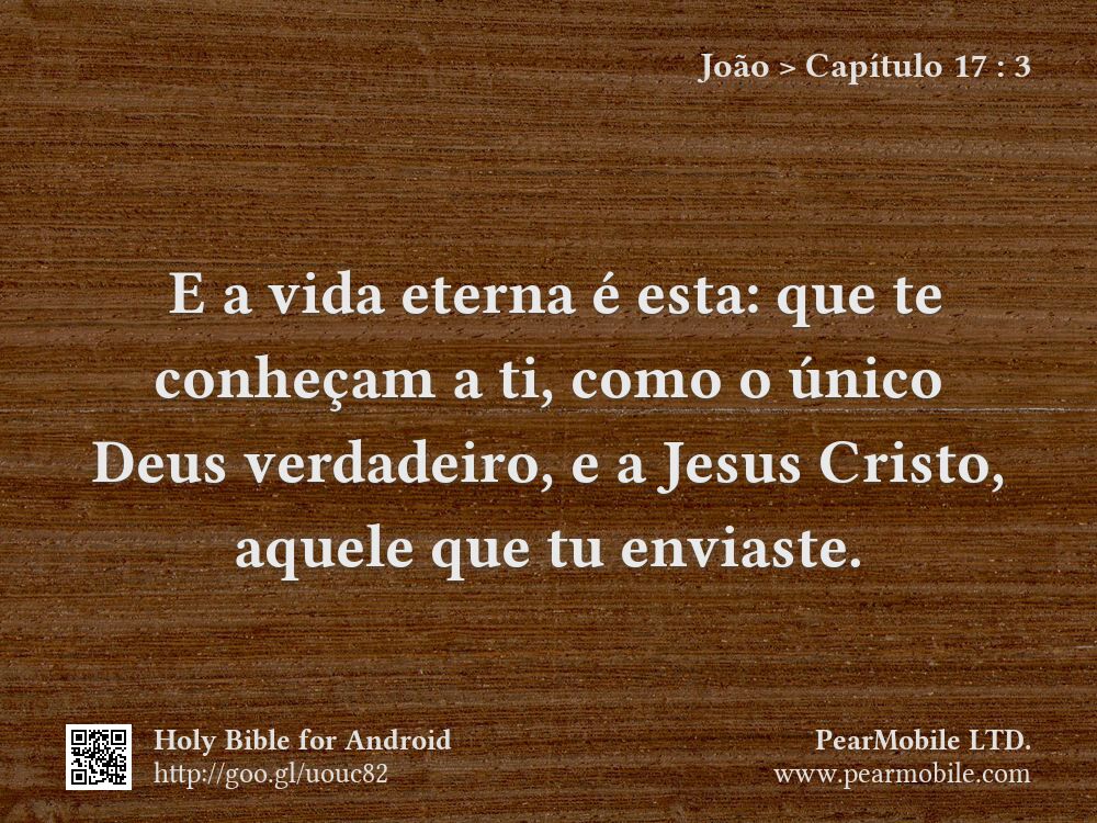 João, Capítulo 17:3